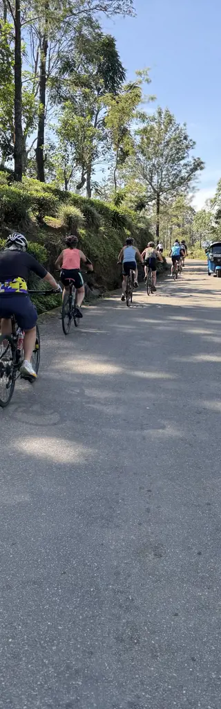 Abwechslungsreiche Veloreise durch das exotische Sri Lanka – mit Badeverlängerung